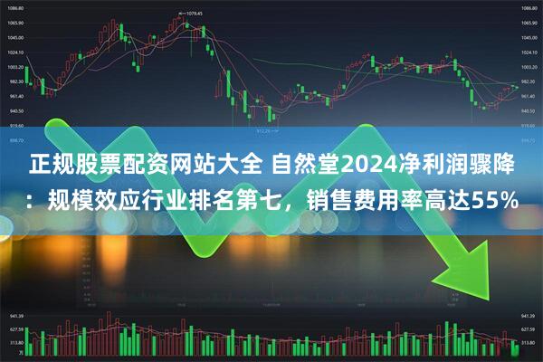 正规股票配资网站大全 自然堂2024净利润骤降：规模效应行业排名第七，销售费用率高达55%