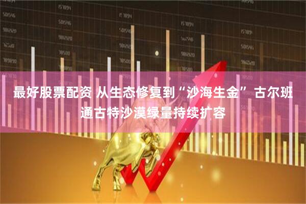 最好股票配资 从生态修复到“沙海生金” 古尔班通古特沙漠绿量持续扩容